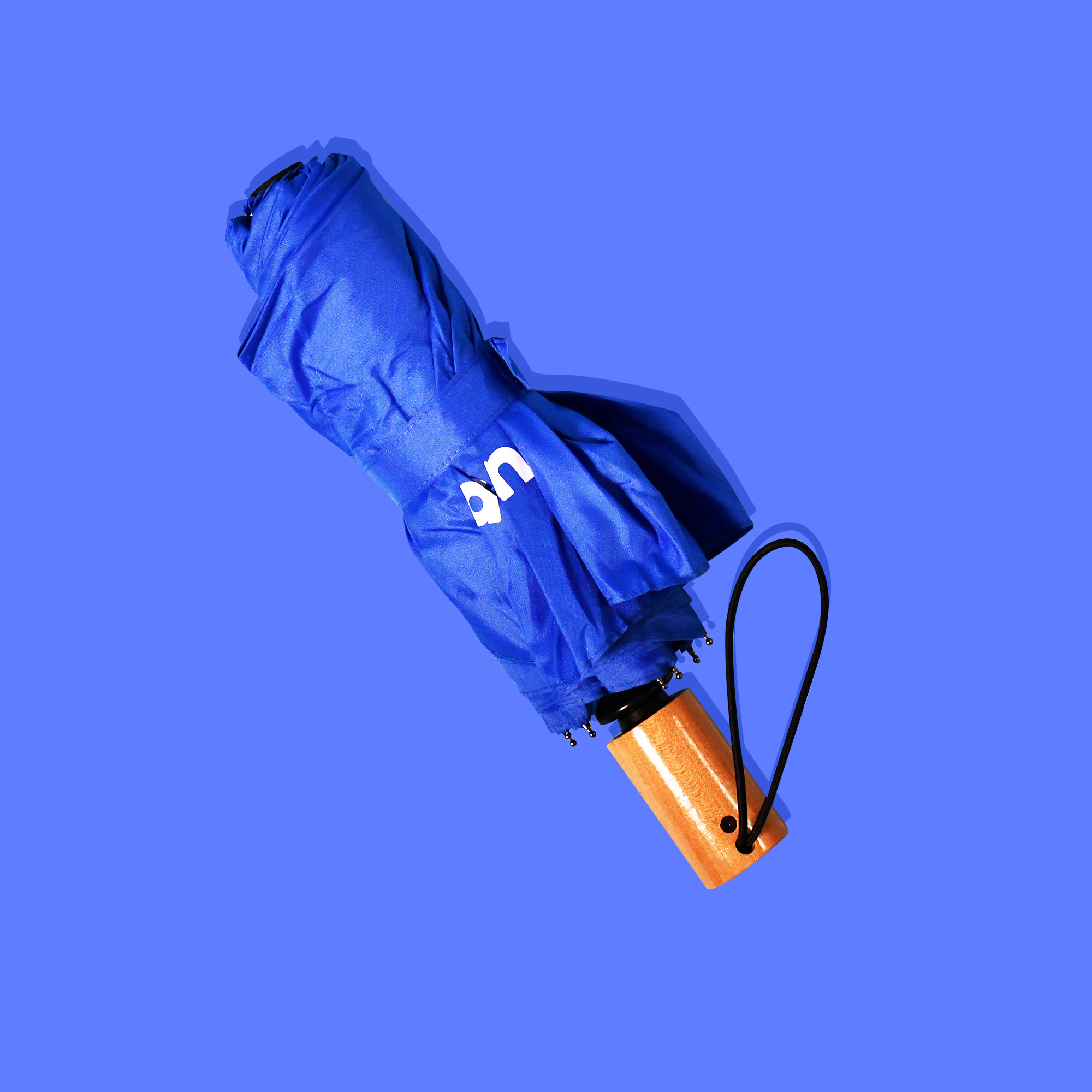 02_Compact_Eco Umbrella Ivy RPET Compact Umbrella