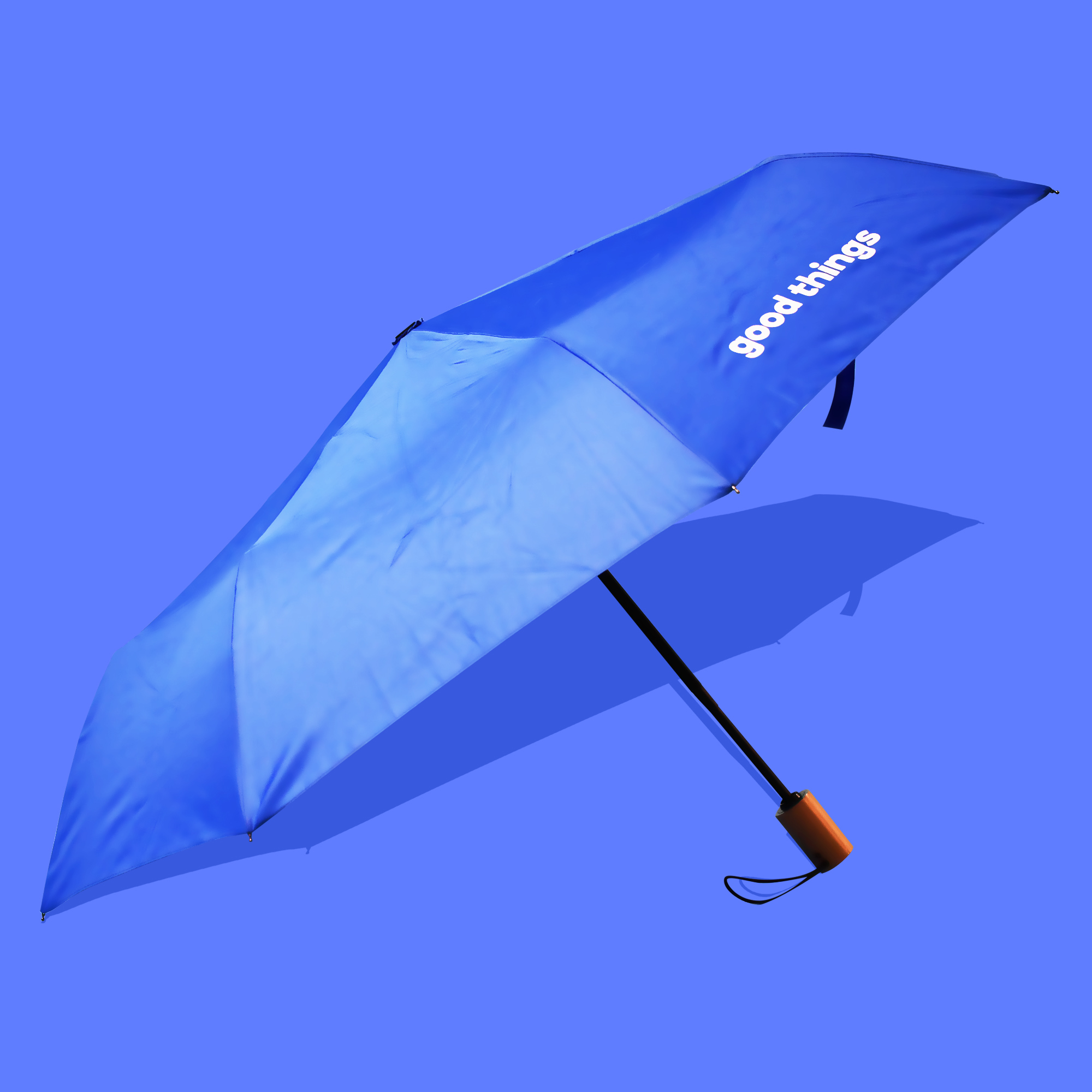 03_Compact_Eco Umbrella Ivy RPET Compact Umbrella