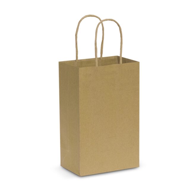 Paper Carry Bag – Small