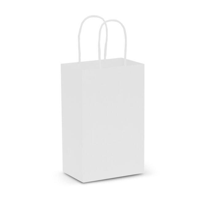 Paper Carry Bag – Small