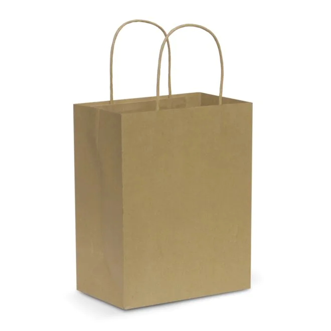 Paper Carry Bag – Medium