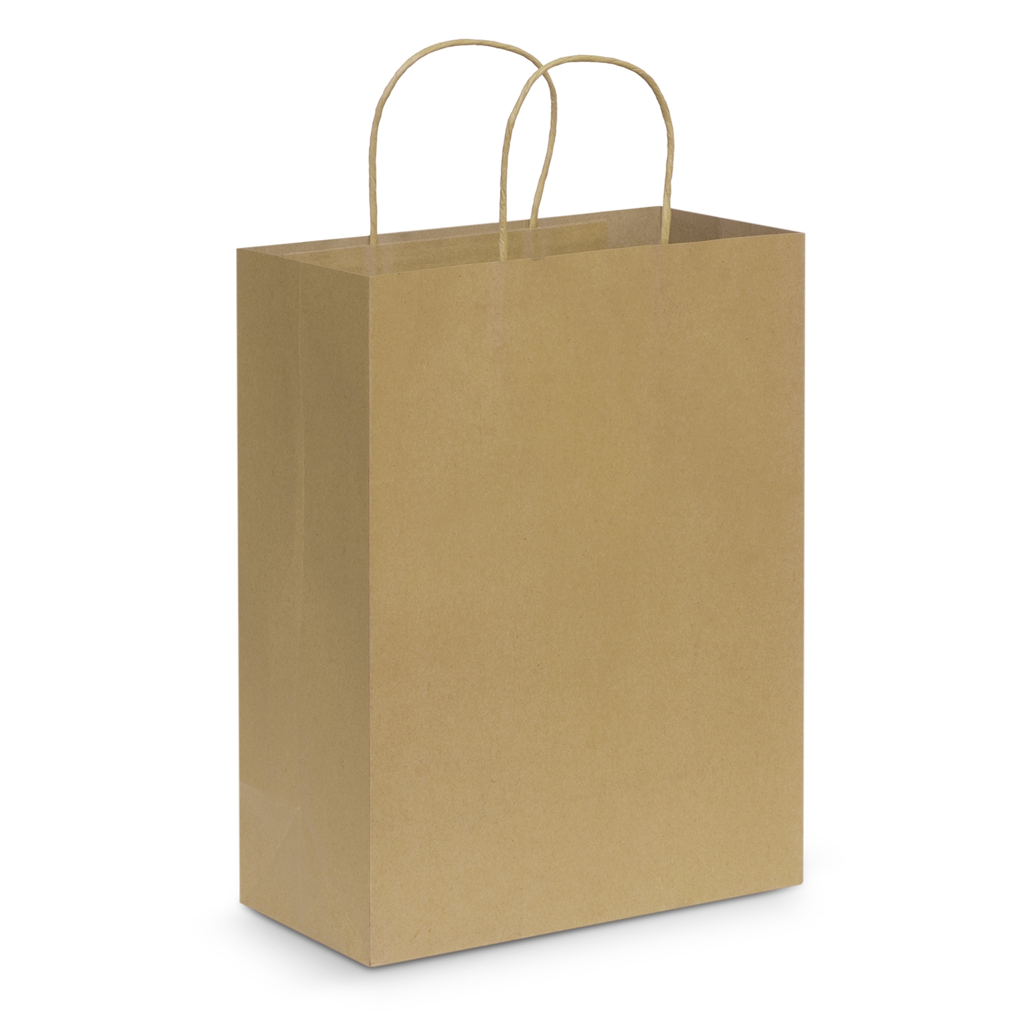 Paper Carry Bag – Large