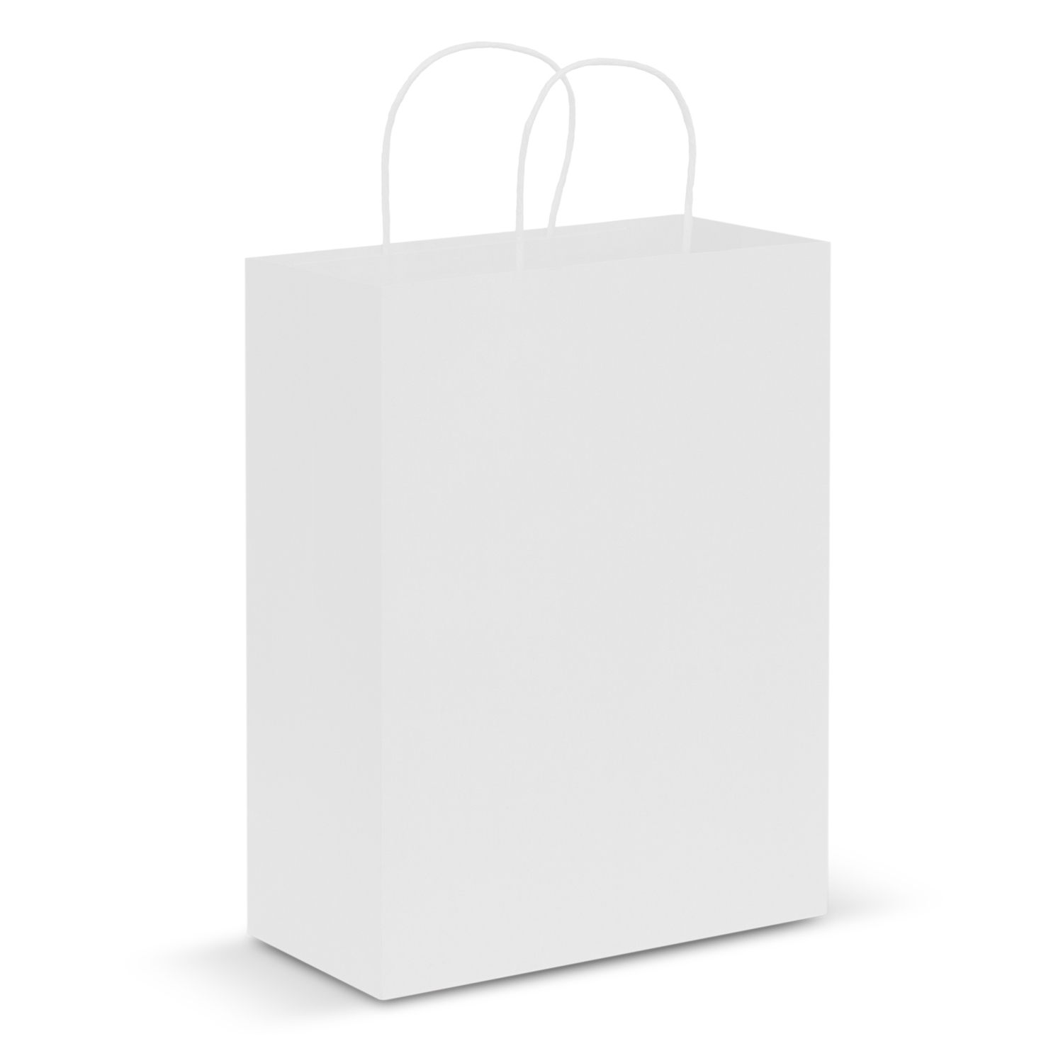 Paper Carry Bag – Large