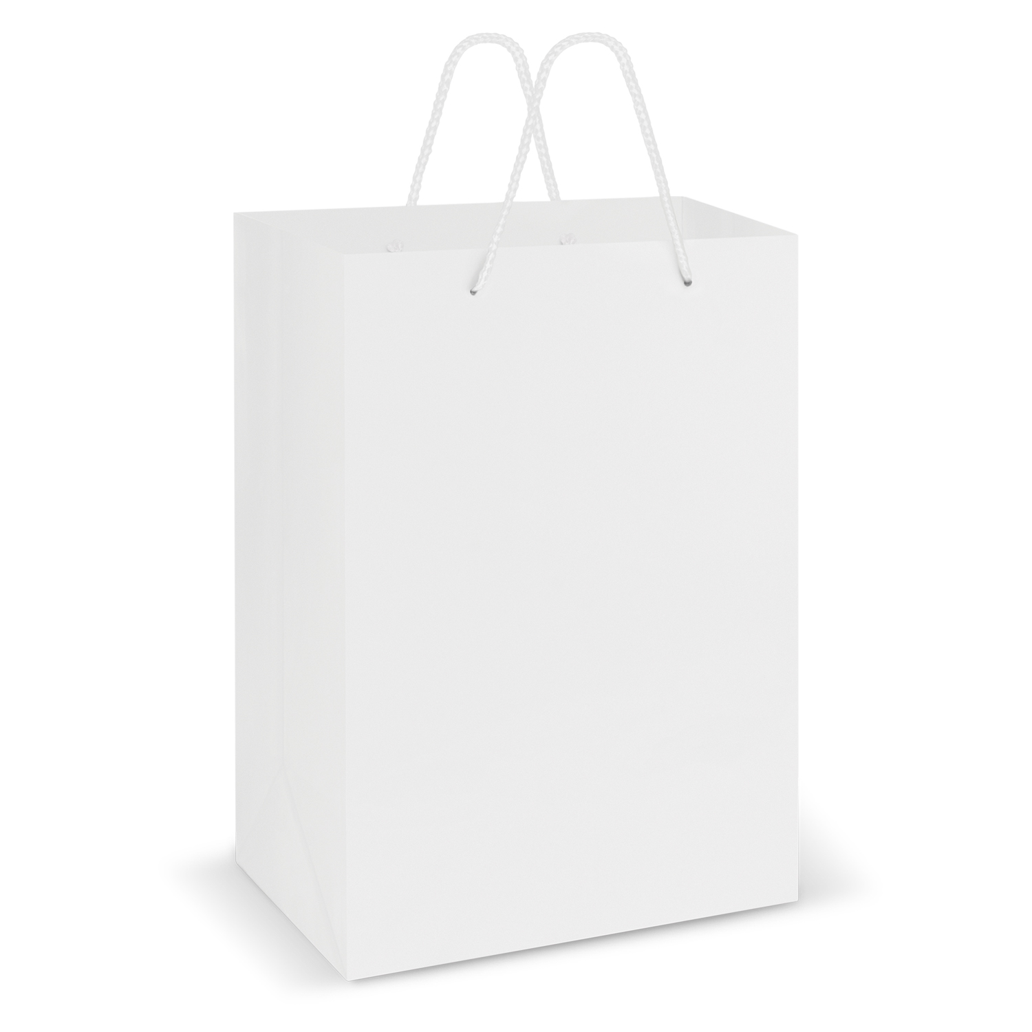 Laminated Carry Bag – Large