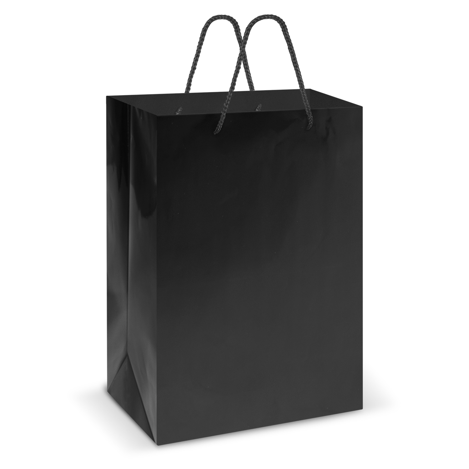 Laminated Carry Bag – Large