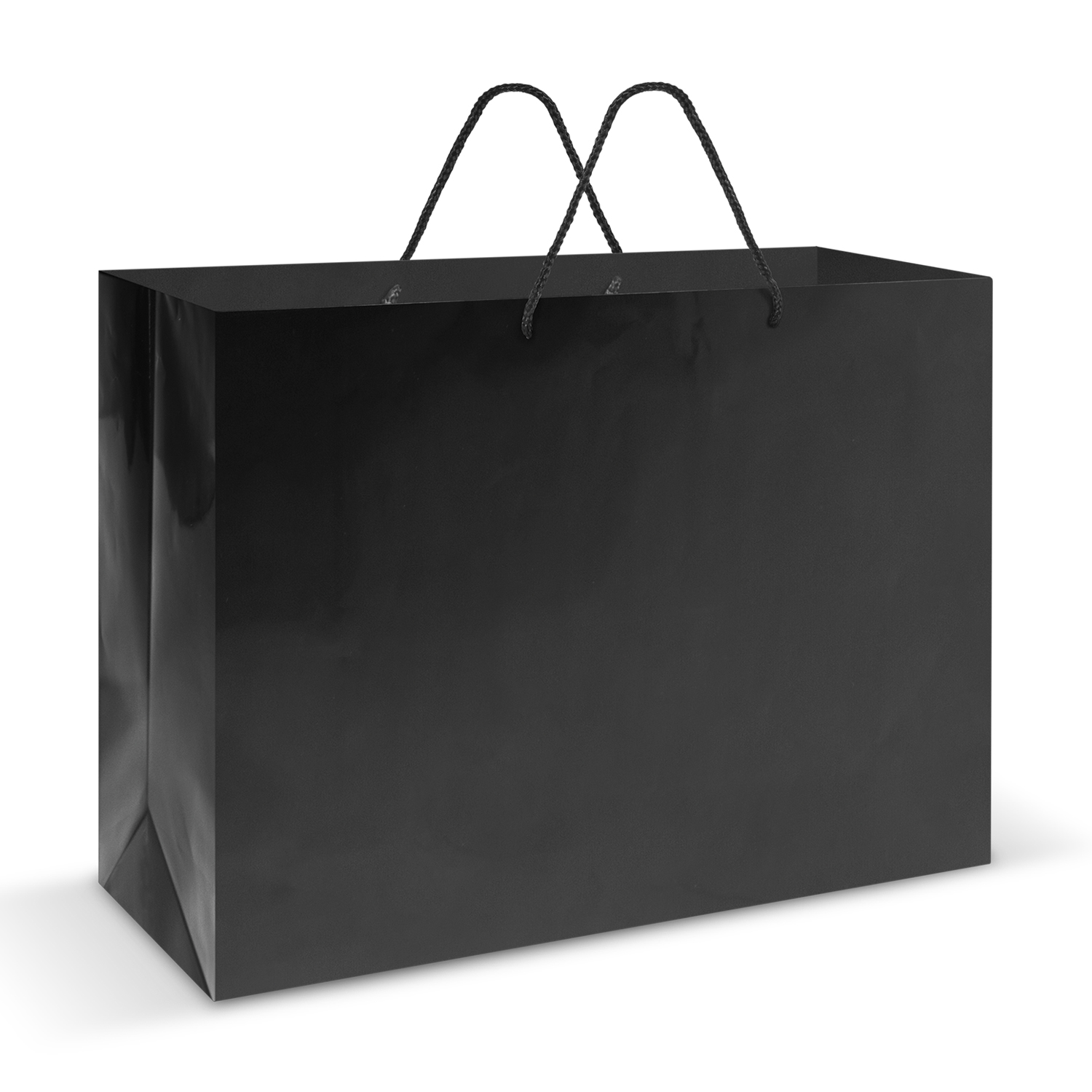 Laminated Carry Bag – Extra Large