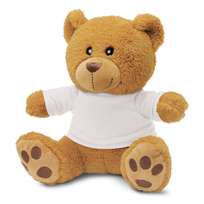Snuggle Teddy