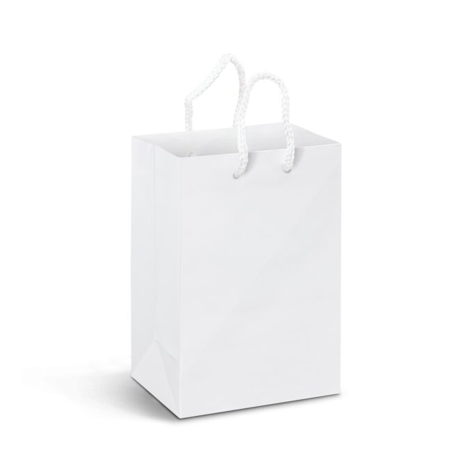 Small Laminated Paper Carry Bag – Full Colour