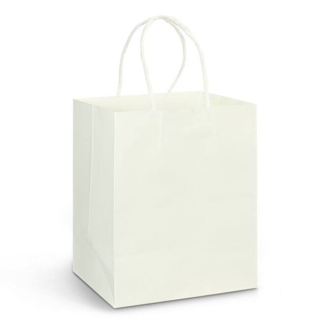 Medium Paper Carry Bag – Full Colour