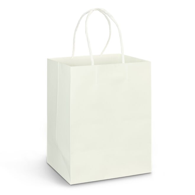 Large Paper Carry Bag – Full Colour
