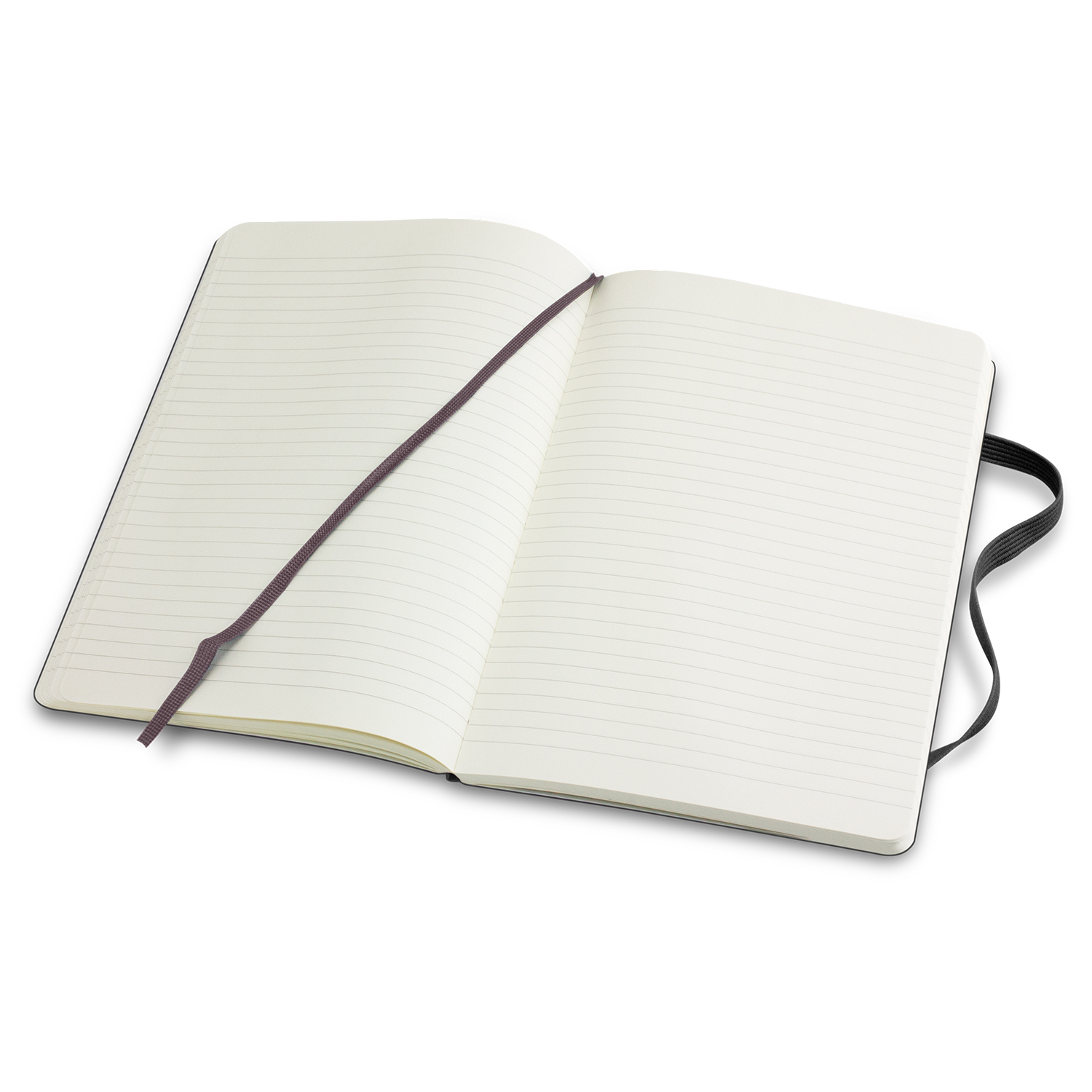 Moleskine Classic Soft Cover Notebook – Large