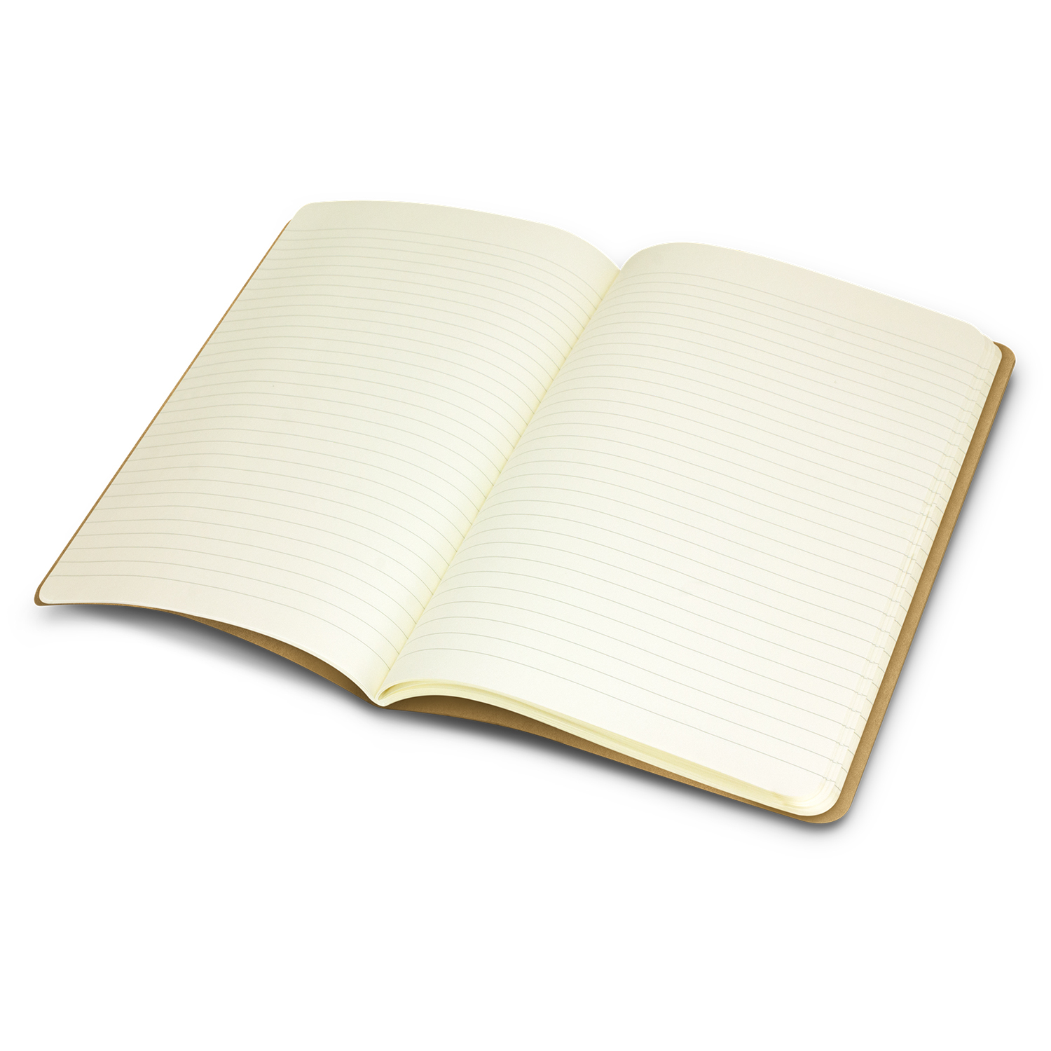 Moleskine Classic Cahier Journal