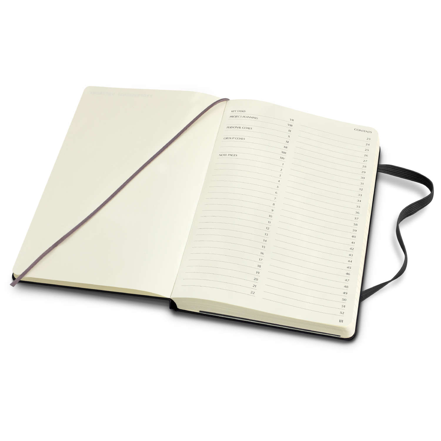 Moleskine Pro Hard Cover Notebook – Large