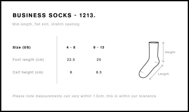 Business Socks (2 Pairs)