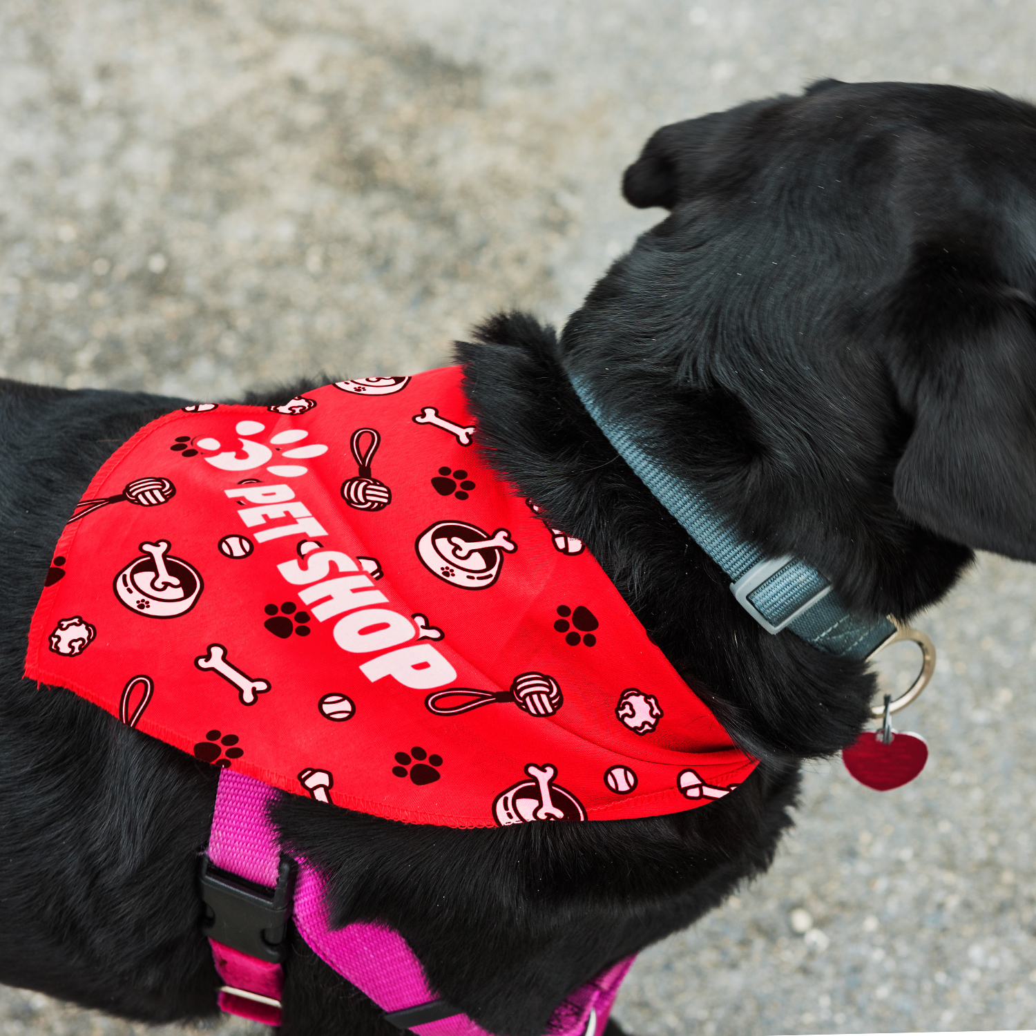 Pet Bandana – Large