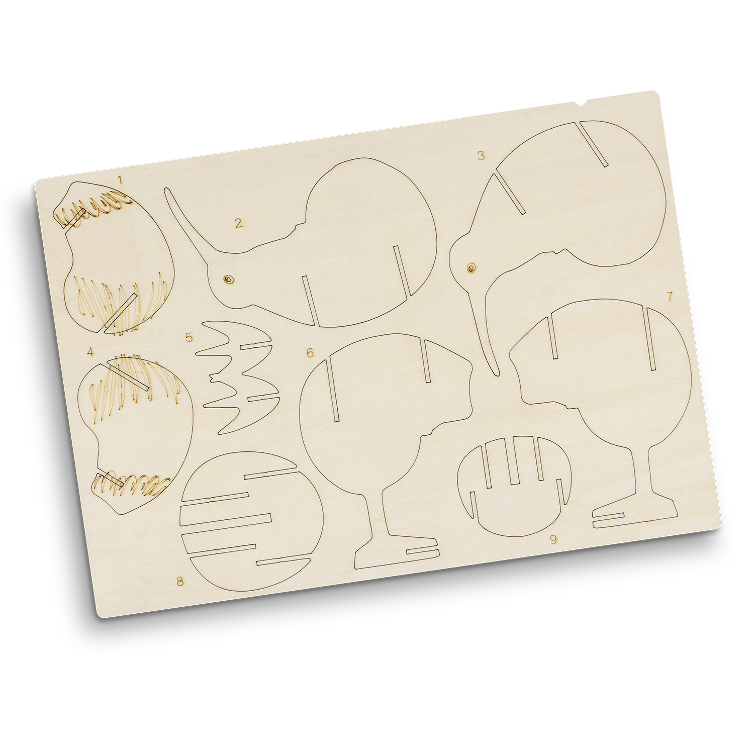 BRANDCRAFT Kiwi Wooden Model