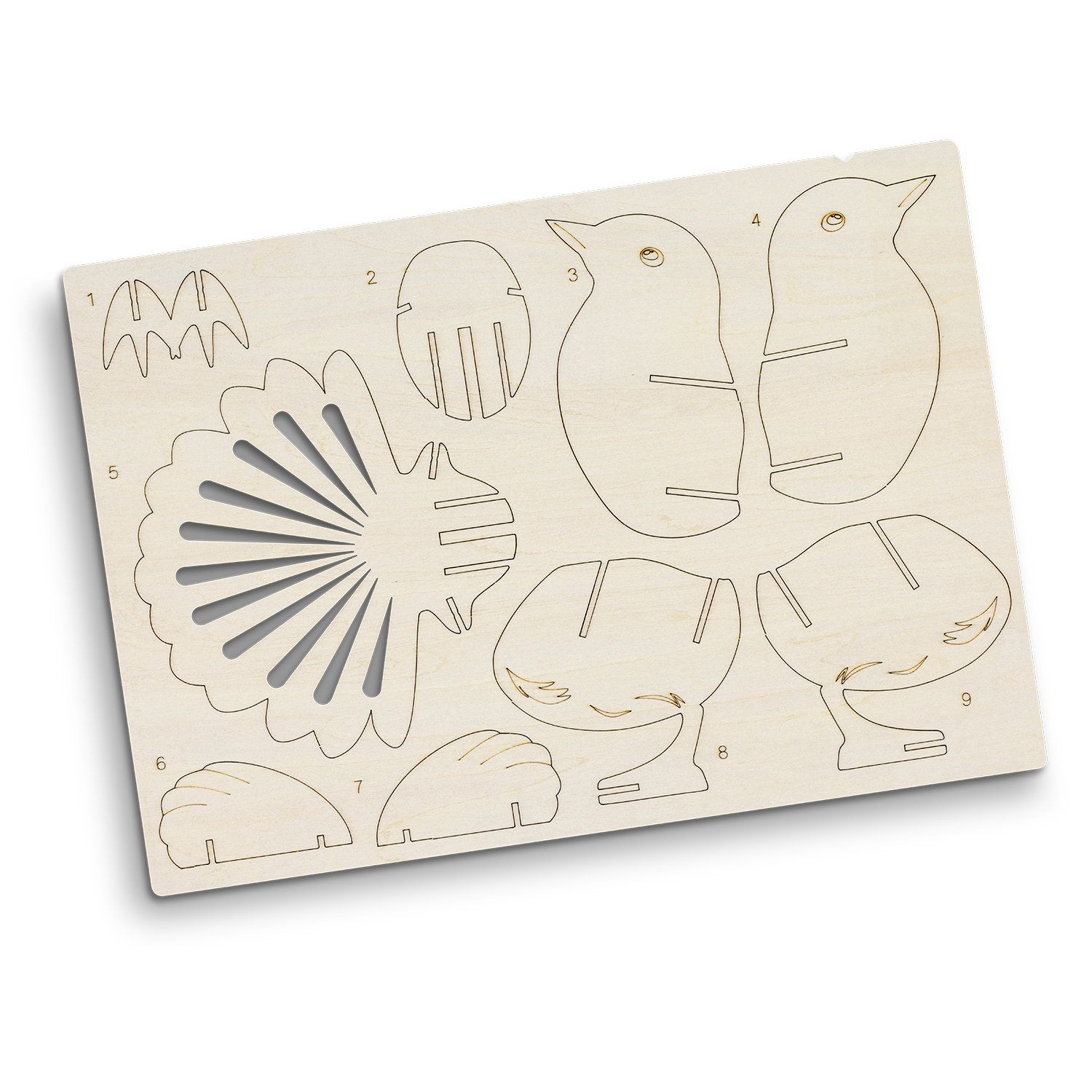 BRANDCRAFT Fantail Wooden Model