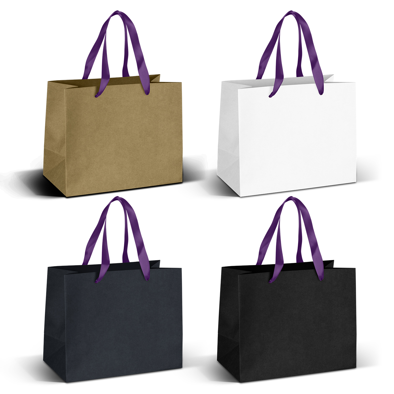 Premium Paper Bag with Ribbon Handles