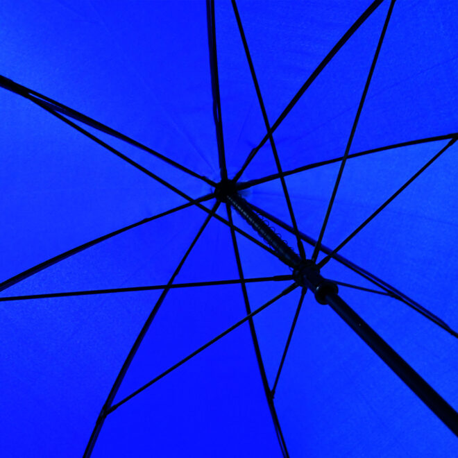 Mulligan Umbrella
