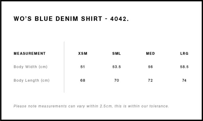 Wo’s Blue Denim Shirt