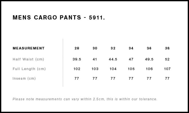 Mens Cargo Pants