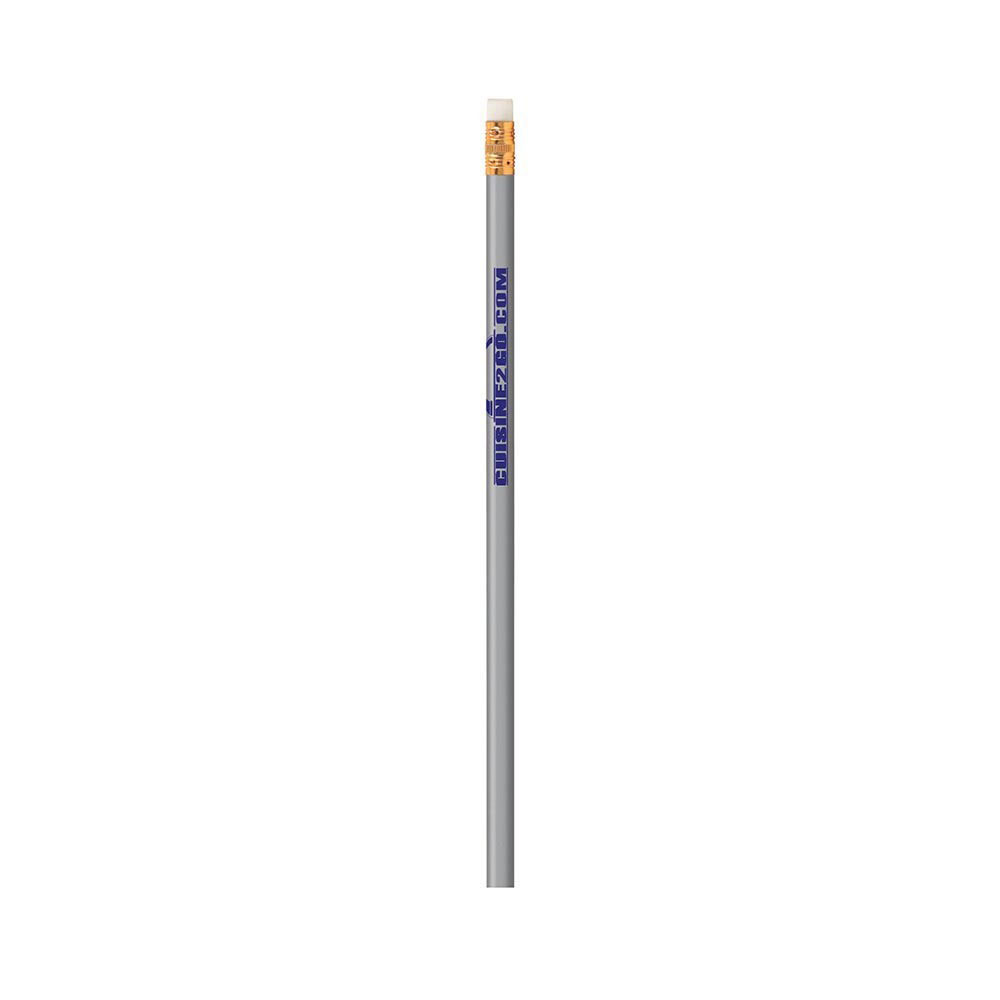 G1501_silver BIC Pencil Solids