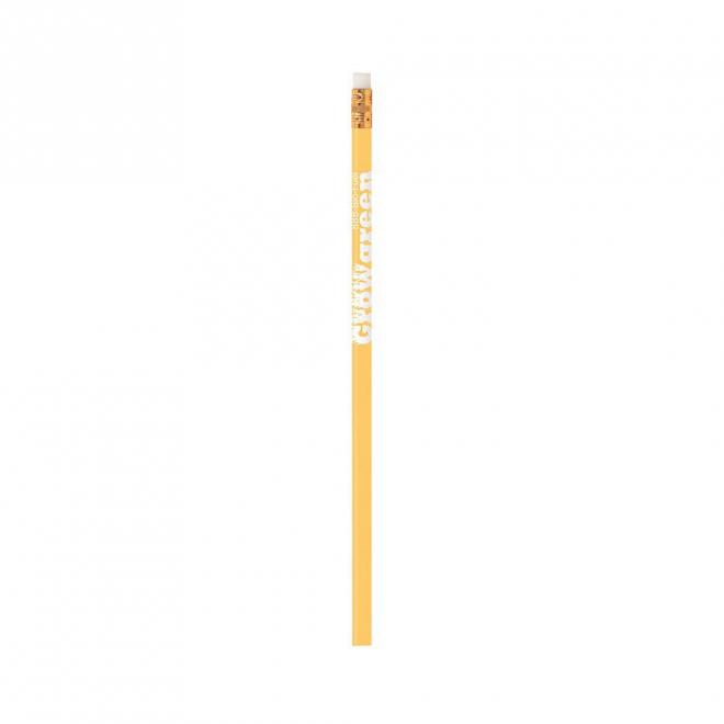 BIC Pencil Solids