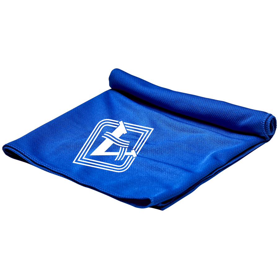 CoolSpray Towel