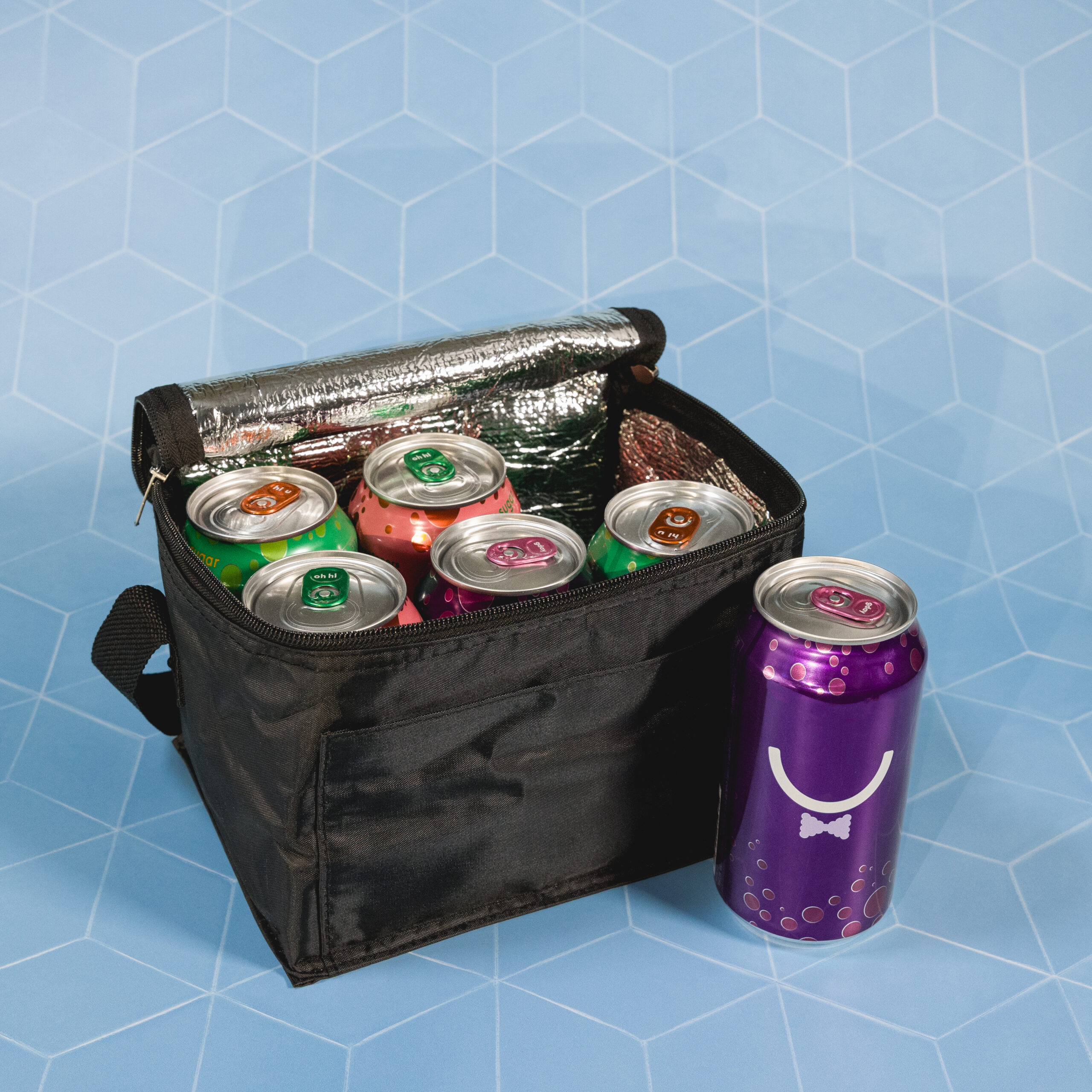 Alpine Cooler Bag