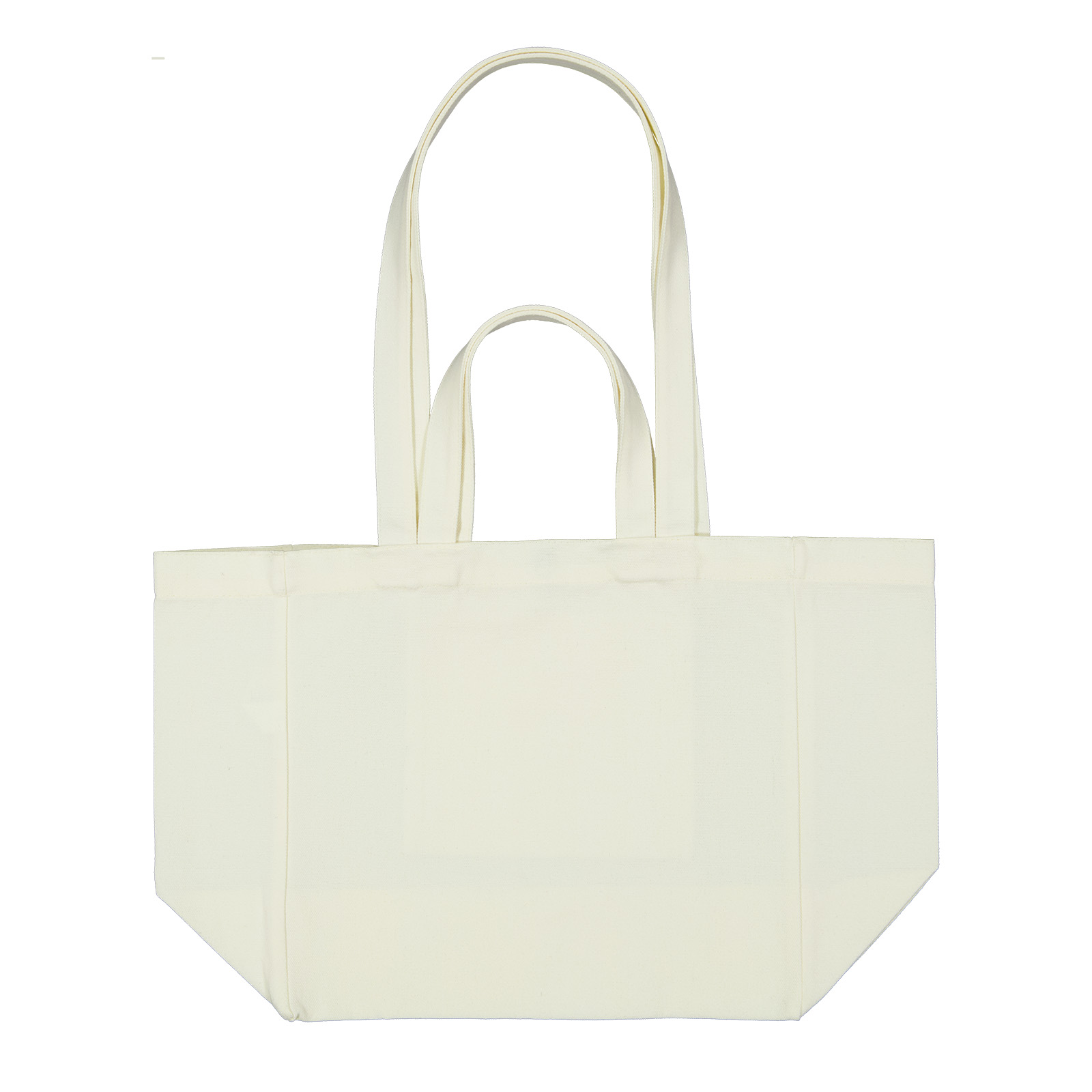 Splendid Canvas Bag
