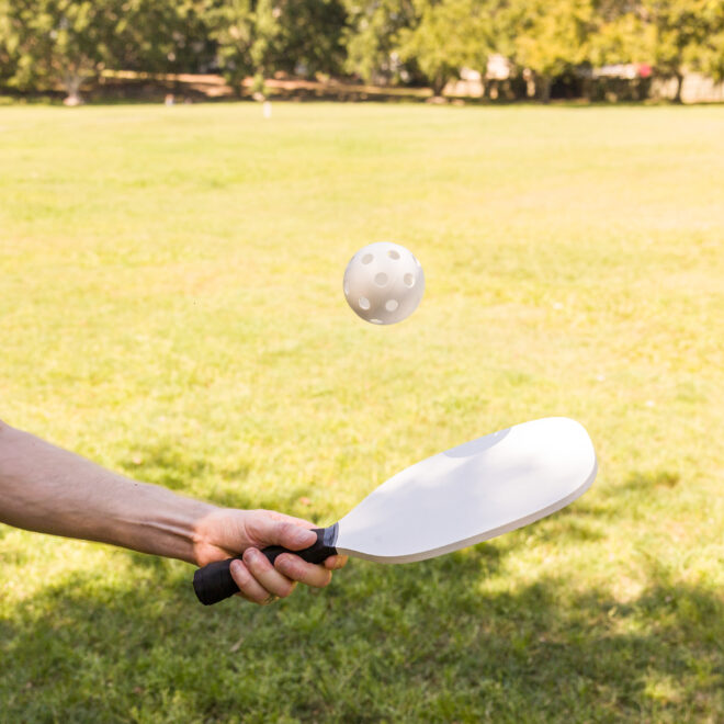 Pickleball Set