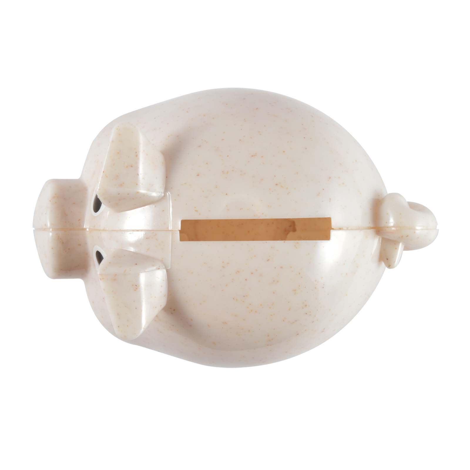 World’s Smallest Pig Eco Coin Bank