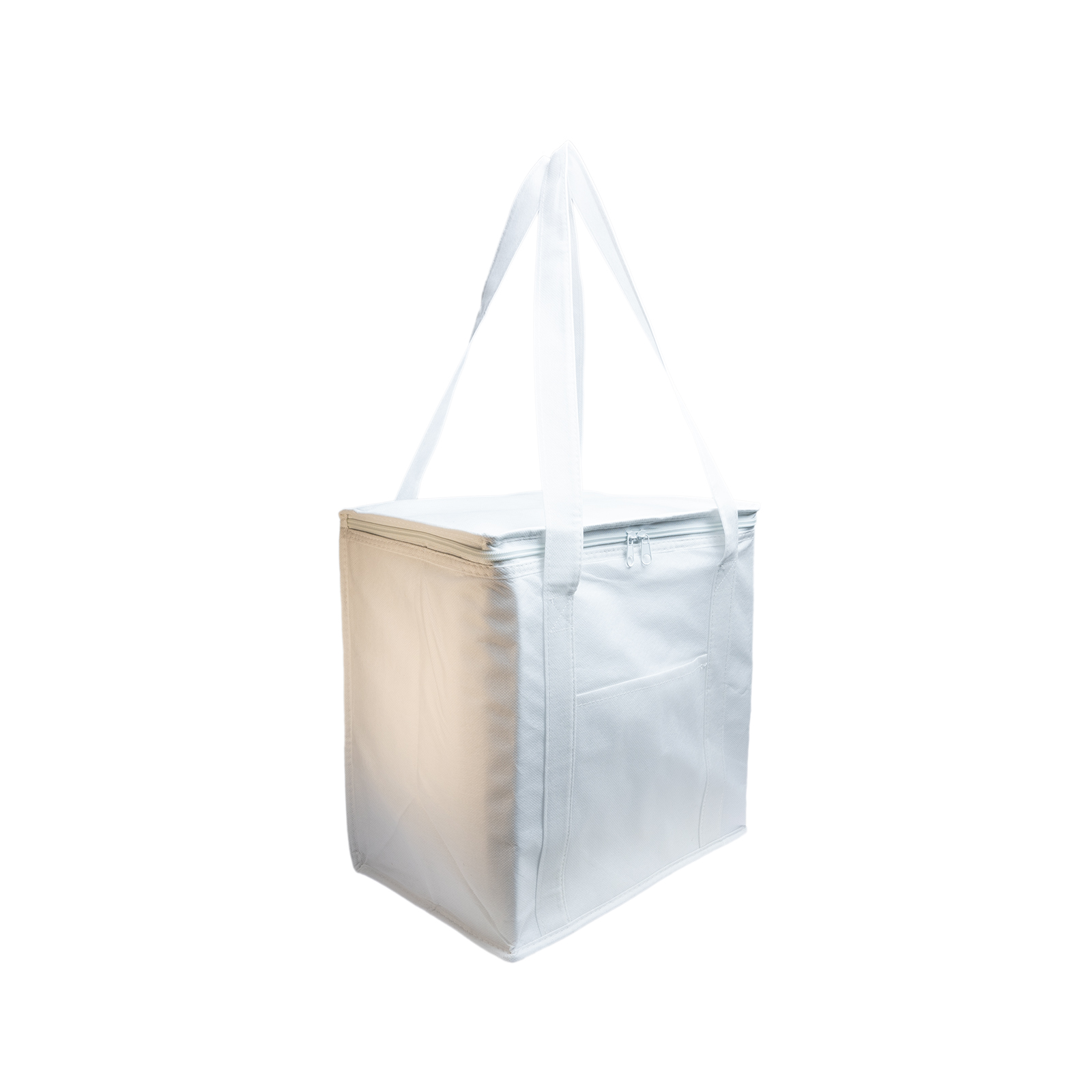 Tundra Cooler / Shopping Bag