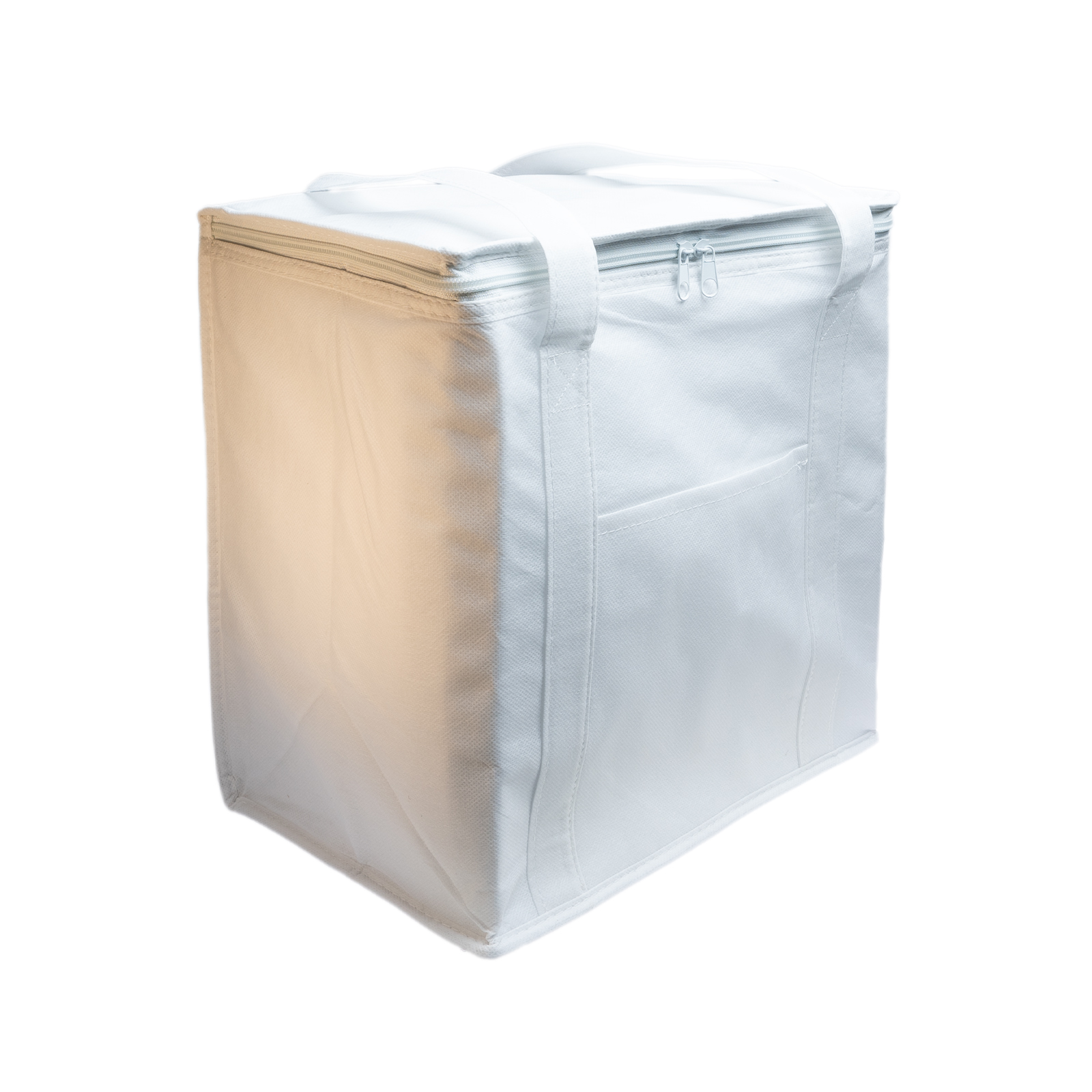 Tundra Cooler / Shopping Bag