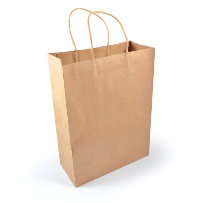 Express Paper Bag Large