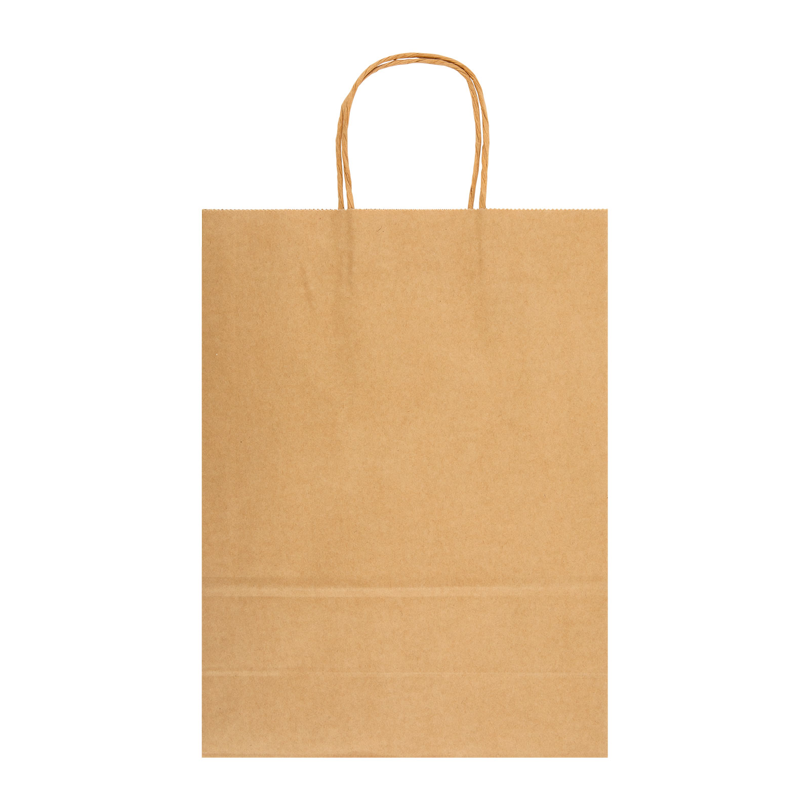 Express Paper Bag Large