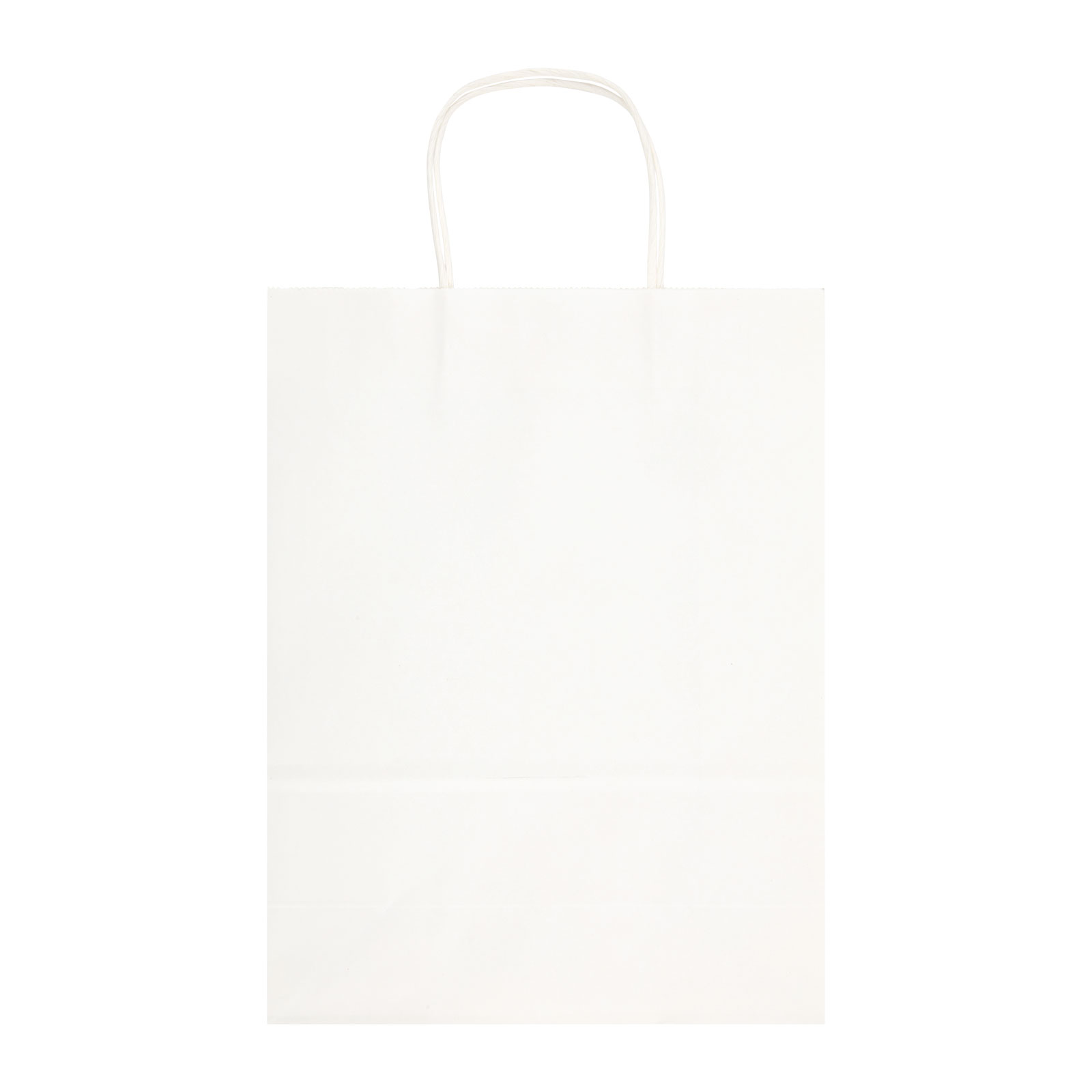 Express Paper Bag Large