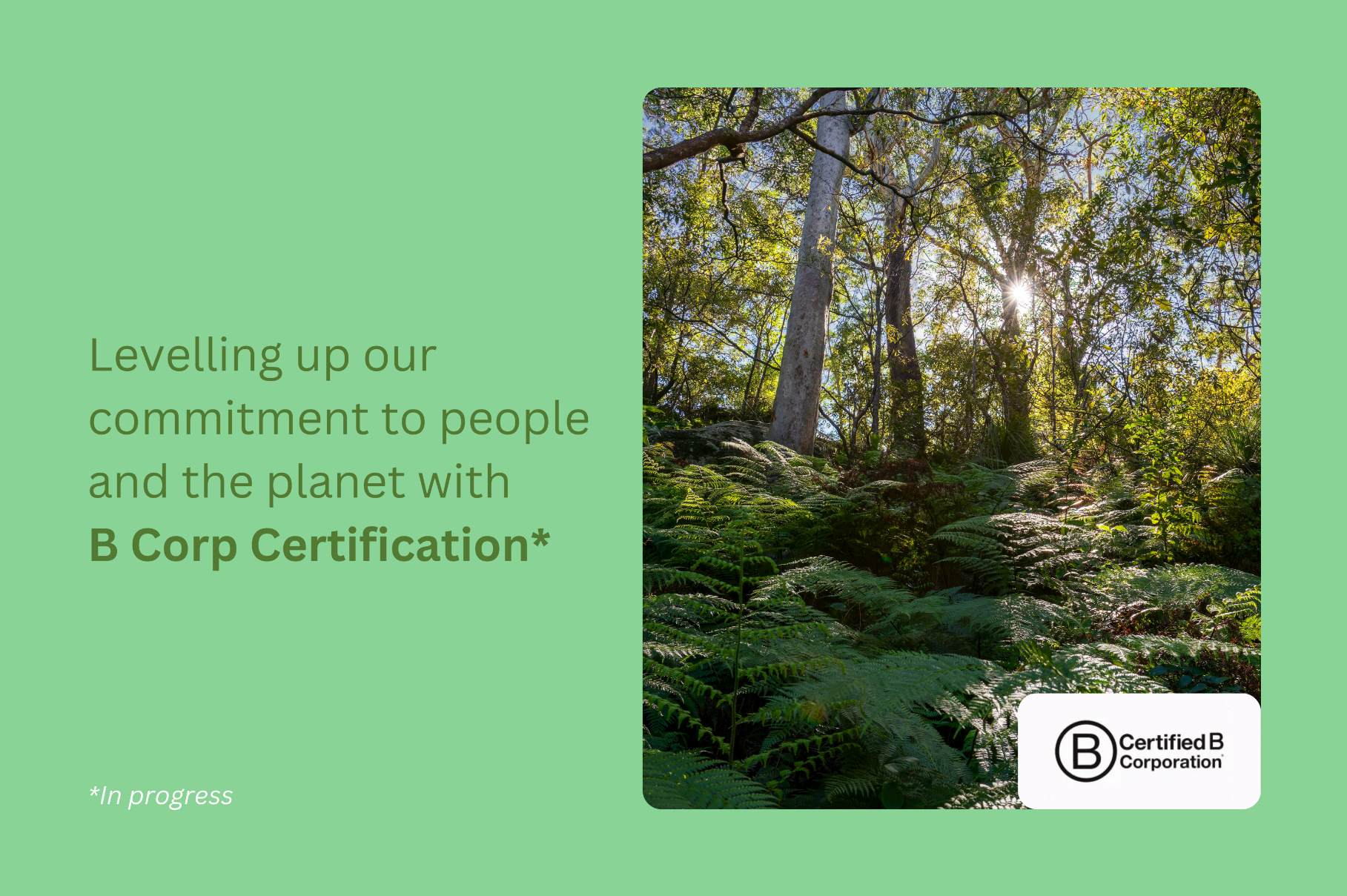 Levelling up our commitment to people and the planet with B Corp Certification