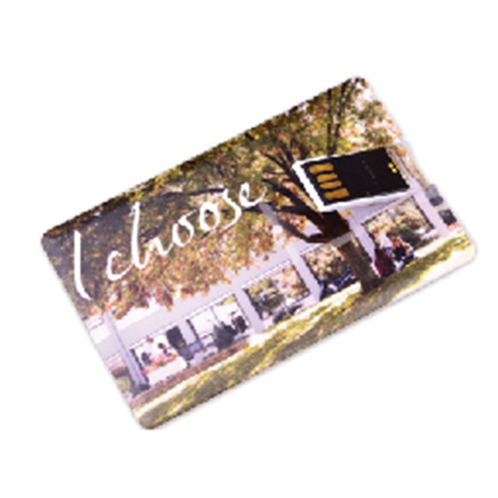 Credit Card USB Drive