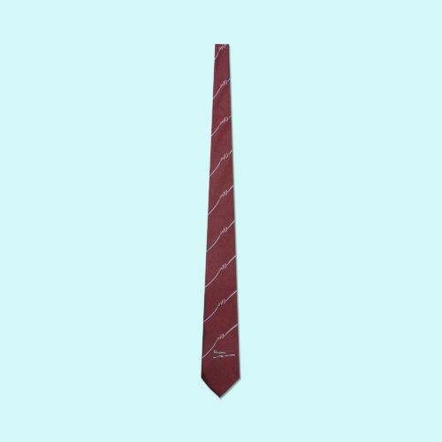 Custom Made Ties (Polyester)