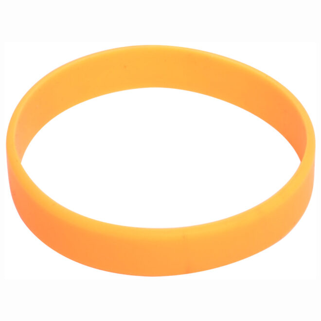 Branded Silicone Wristband