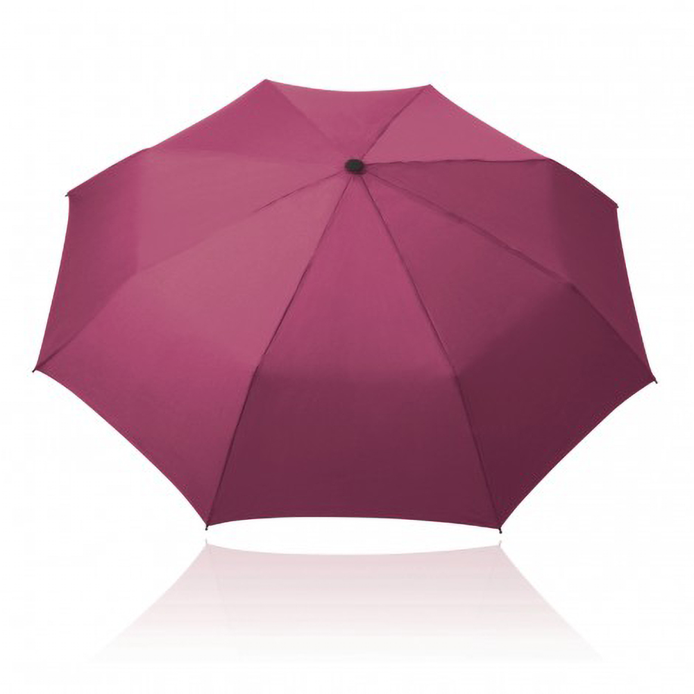 Mini Storm Umbrella